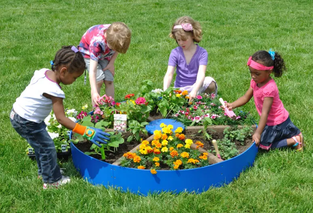 If you don't like the harvest, pay attention to the seed